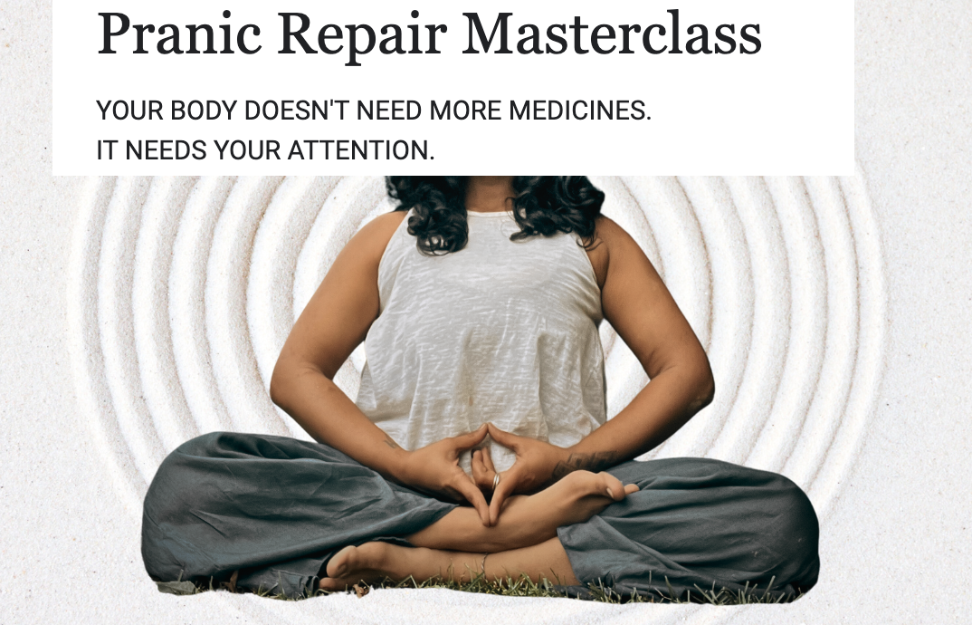 Pranic Repair Masterclass-4