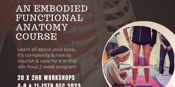 Body Anatomy Wellness Wisdom Course